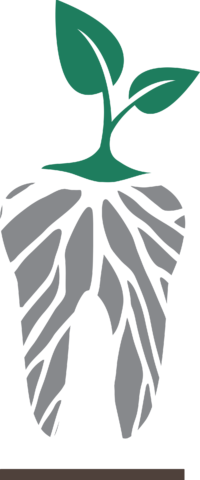 Rooted Dental Logo Mark Rooted Dental Logo Mark