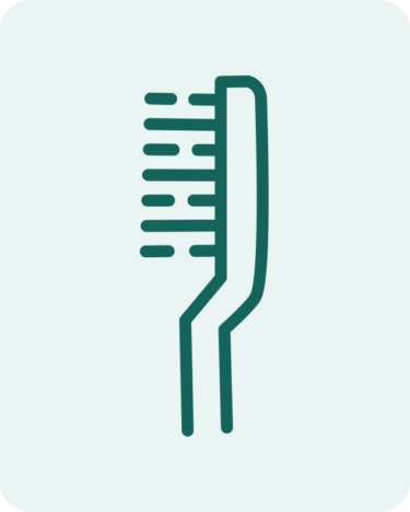 ToothBrush ToothBrush